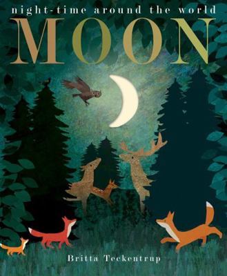 Moon: night-time around the world 178881715X Book Cover