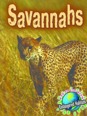 Savannahs 1615903178 Book Cover