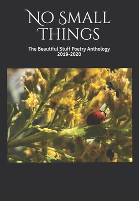 No Small Things: The Beautiful Stuff Poetry Ant... 1692331558 Book Cover