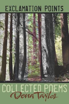 Exclamation Points: Collected Poems 1944497048 Book Cover
