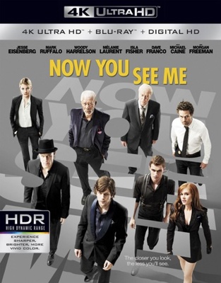 Now You See Me            Book Cover