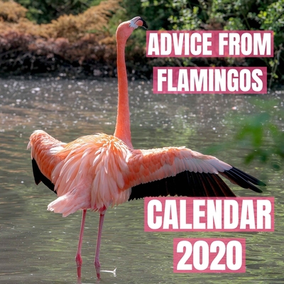Advice From Flamingos Calendar 2020: Flamingo I... 1659121353 Book Cover