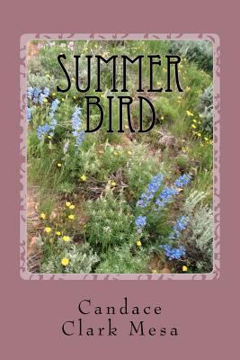 Summer Bird: A Journal of Discovery 146623265X Book Cover
