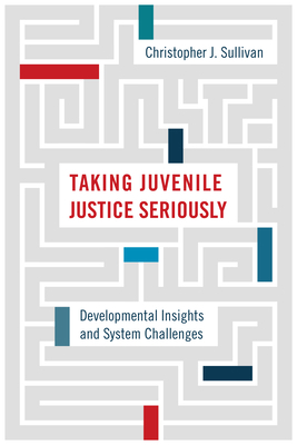 Taking Juvenile Justice Seriously: Developmenta... 1439915792 Book Cover