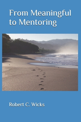 From Meaningful to Mentoring B0DLNVLT4L Book Cover