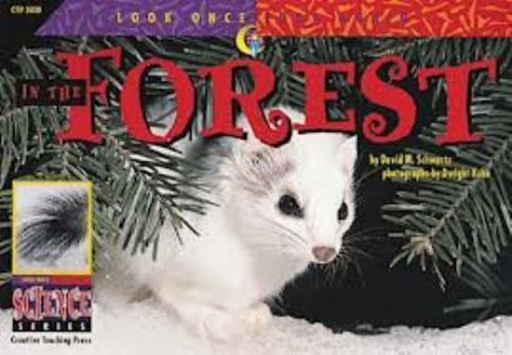 In the Forest 0836822226 Book Cover