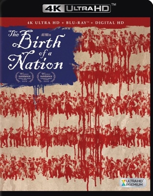 The Birth of a Nation            Book Cover