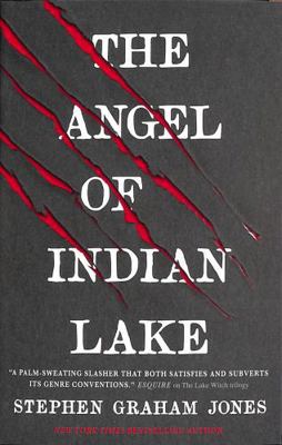 The Angel of Indian Lake 183541026X Book Cover