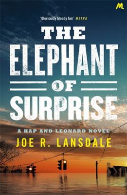 Elephant Of Surprise 1473678099 Book Cover