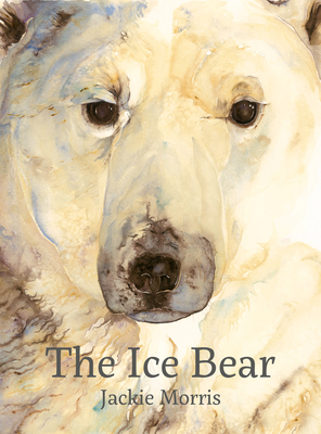 The Ice Bear 1912050463 Book Cover