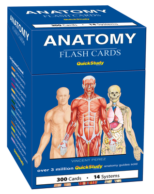 Anatomy Flash Cards: A Quickstudy Reference & S... 1423251385 Book Cover