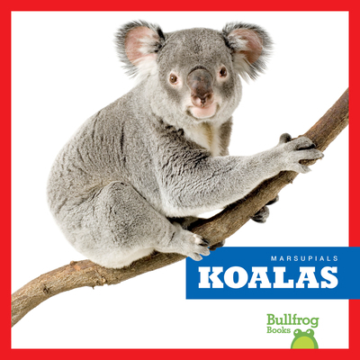 Koalas B0DCHFLVT4 Book Cover