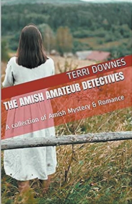 The Amish Amateur Detectives B0CZ5RC83N Book Cover