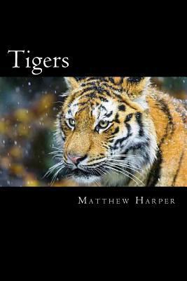 Tigers: A Fascinating Book Containing Tiger Fac... 1500115533 Book Cover