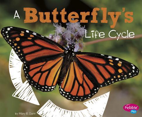 A Butterfly's Life Cycle 1515770532 Book Cover