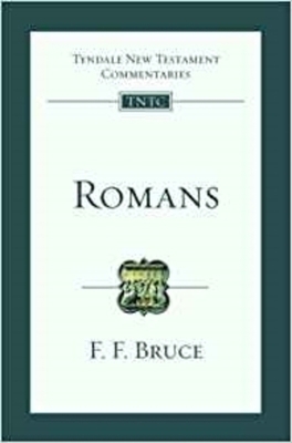 Romans: An Introduction And Survey 1844742725 Book Cover