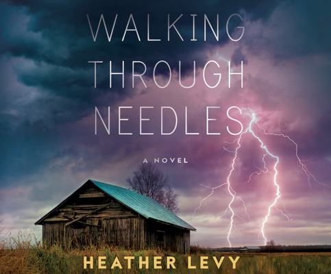 Walking Through Needles 1666500658 Book Cover