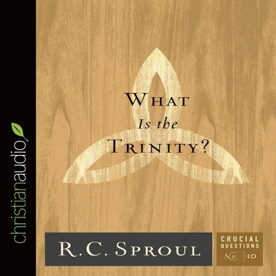 What Is the Trinity? B08XZGHQL1 Book Cover