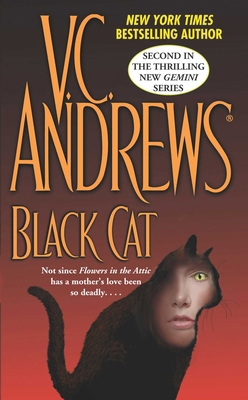 Black Cat 166823422X Book Cover