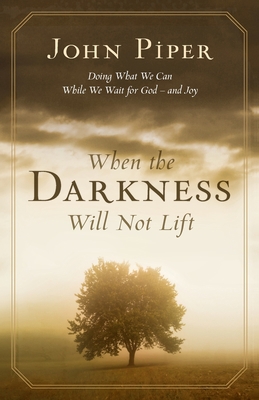 When the darkness will not lift: Doing What We ... 1844741842 Book Cover