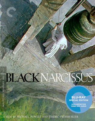 Black Narcissus            Book Cover