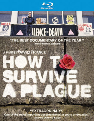 How to Survive a Plague            Book Cover