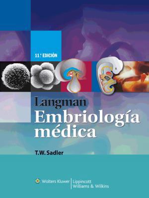 Langman. Embriologia Medica [Spanish] 841541983X Book Cover