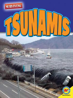 Tsunamis 1489697942 Book Cover
