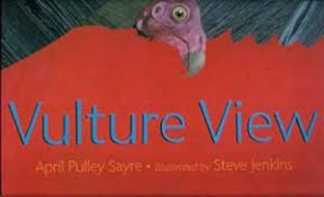 Vulture View: Big Book Grade 1 0547170343 Book Cover