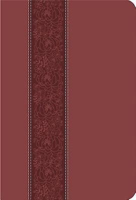 Large Print Thinline Bible-CEB [Large Print] 1609261062 Book Cover