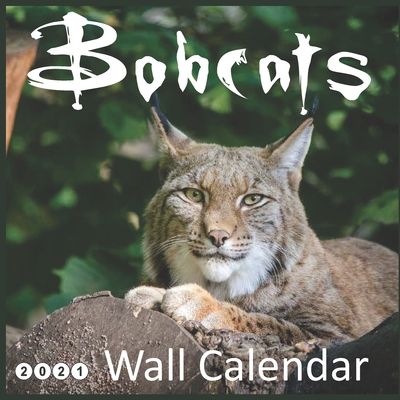 Bobcats: 2021 Wall & Office Calendar, 12 Month Calendar