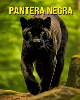 Pantera negra: Imágenes Divertidas y Asombrosas... [Spanish]            Book Cover