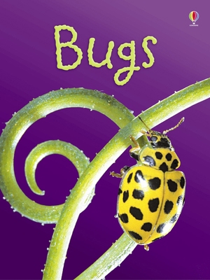 Bugs 0746080379 Book Cover