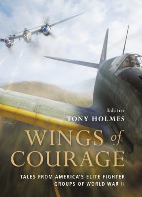 Wings of Courage: Tales from America's Elite Fi... 1849082197 Book Cover