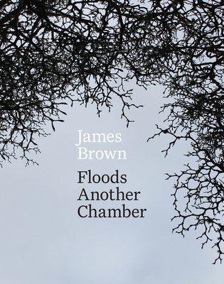 Floods Another Chamber 1776561597 Book Cover