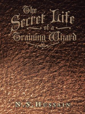 The Secret Life of a Training Wizard 149698918X Book Cover