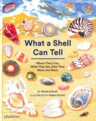 What a Shell Can Tell [French] 1838664300 Book Cover