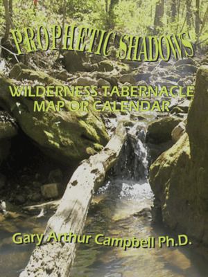 Prophetic Shadows 1420829963 Book Cover