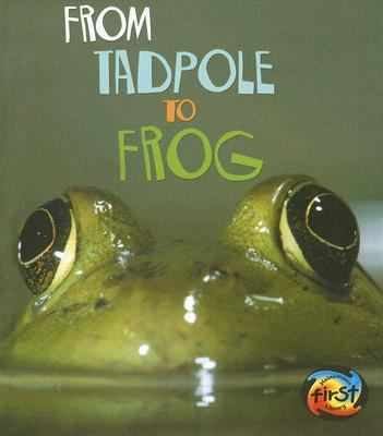 From Tadpole to Frog: [nyc Schools] 1403478597 Book Cover