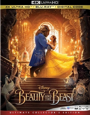 Beauty and the Beast            Book Cover