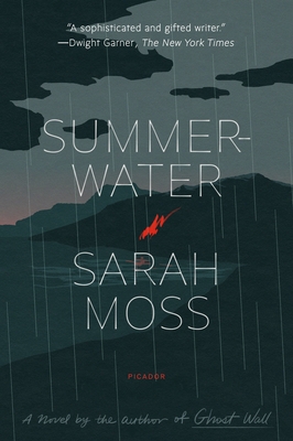 Summerwater: A Novel Book Cover
