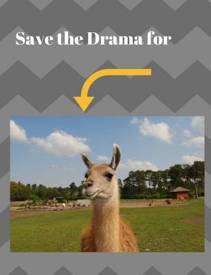 Save the Drama for 1725188848 Book Cover