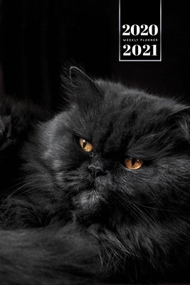 ペルシャ猫 ड... 171342018X Book Cover