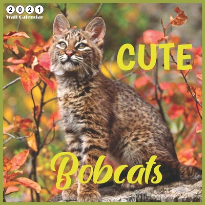 Paperback Cute Bobcats: 2021 Wall & Office Calendar, 12 Month Calendar Book