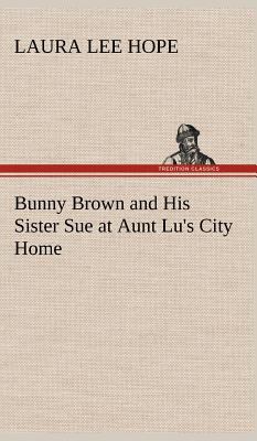 Bunny Brown and His Sister Sue at Aunt Lu's Cit... 384917977X Book Cover