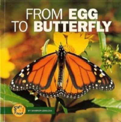 From Egg to Butterfly 0822506661 Book Cover