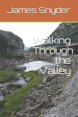 Walking Through the Valley B084WHFQSC Book Cover