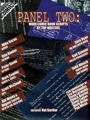 Panel Two: More Comic Book Scripts by Top Writers 0971633819 Book Cover