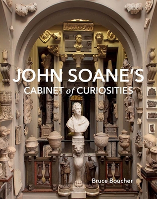 John Soane's Cabinet of Curiosities: Reflection... 0300275692 Book Cover