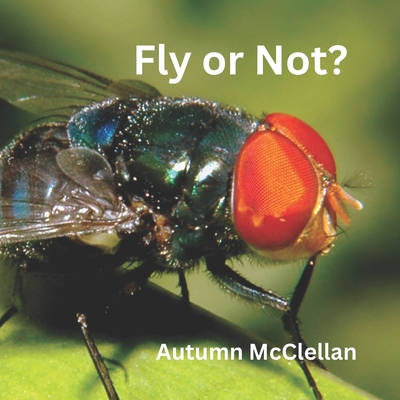 Fly or Not? B0CZMB79LR Book Cover